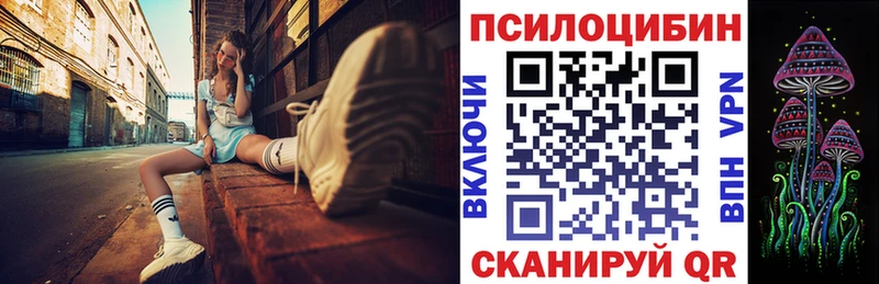 это как зайти  Донской  Псилоцибиновые грибы Psilocybine cubensis 