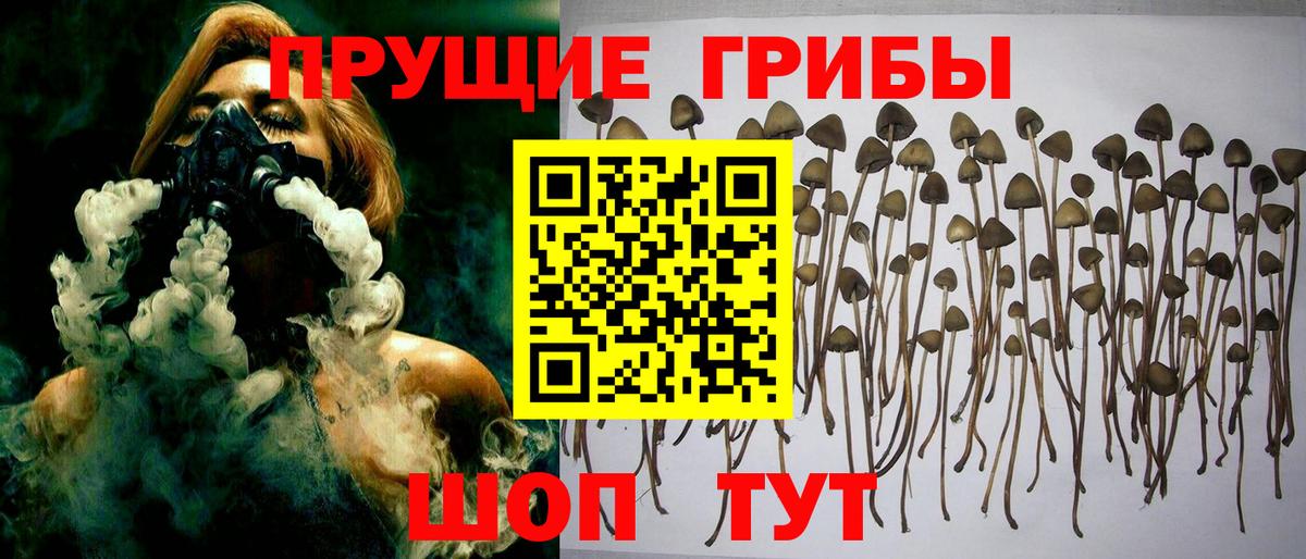 Бутират Донской