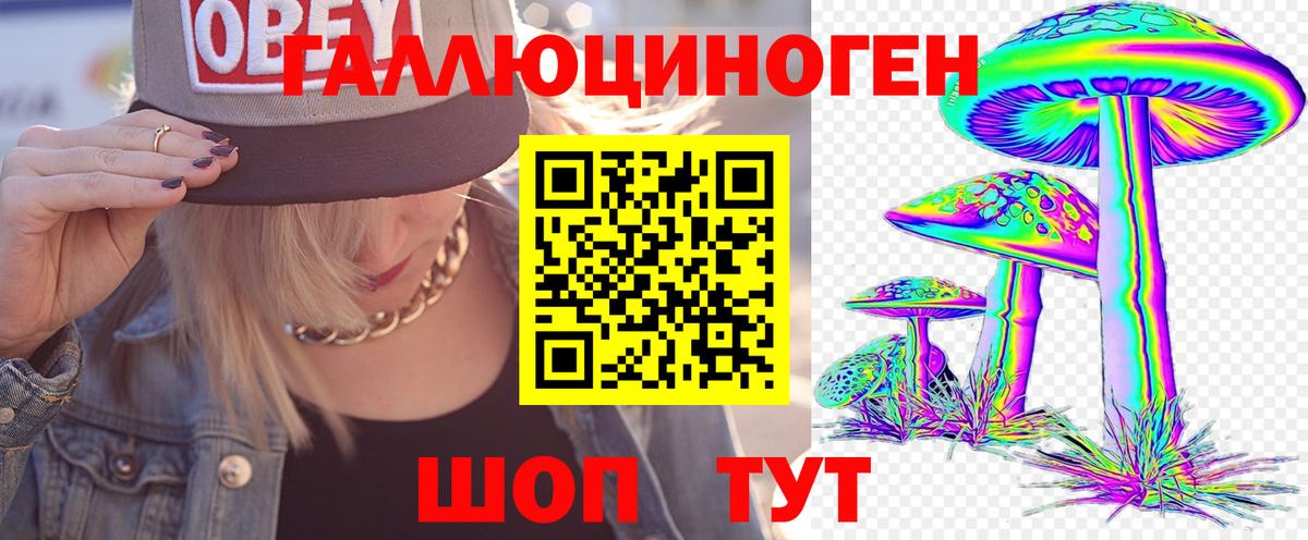 Донской  Псилоцибиновые грибы мухоморы  Вход с VPN 
