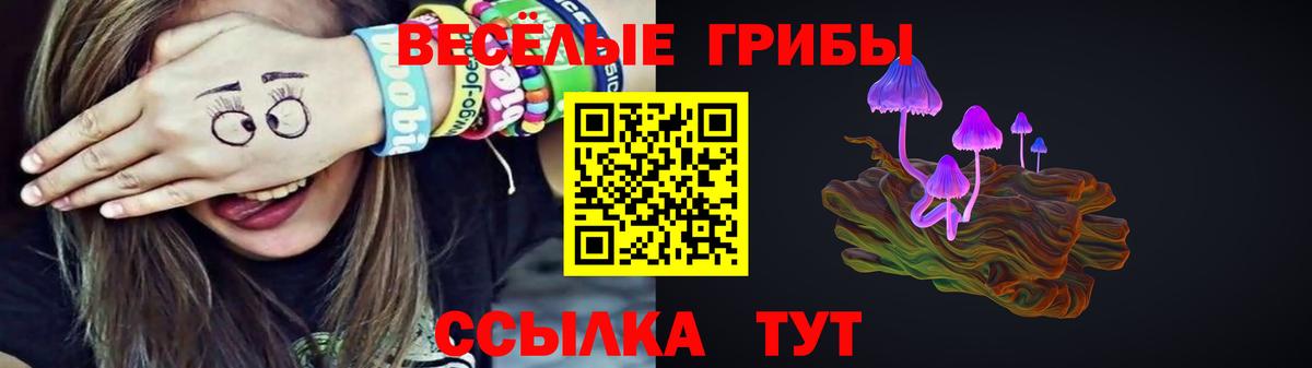 Псилоцибиновые грибы Psilocybe Донской
